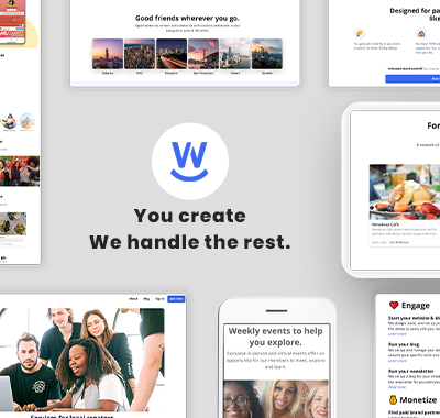 Wiseassistant app Portfolio